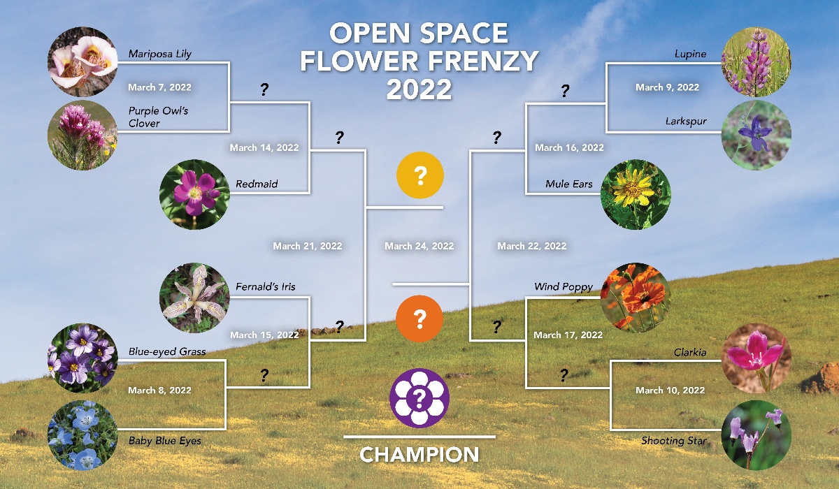 Flower Frenzy 2022!